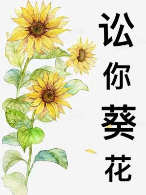 讼你葵花