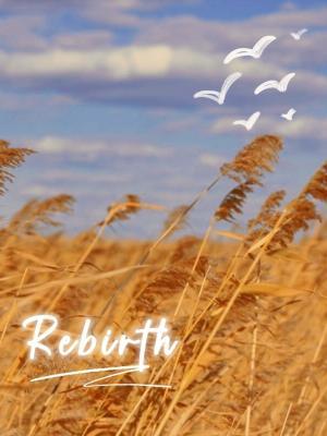 【纪楚】Rebirth作品封面