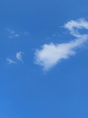 烟花雨