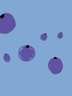 蓝莓果的酸甜作品封面