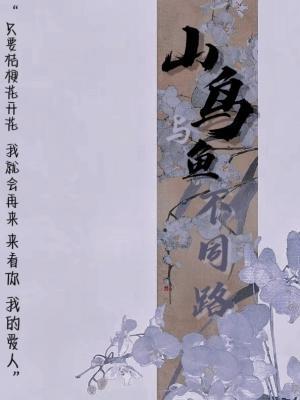 山鸟与鱼不同路作品封面