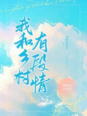 我和乡村有段情作品封面