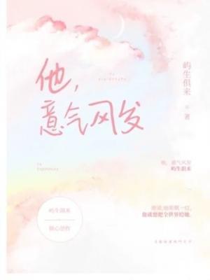 他，意气风发作品封面