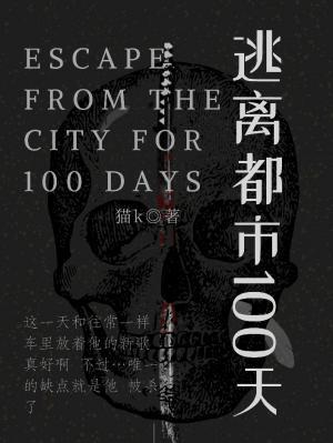 逃离都市100天作品封面
