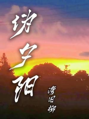 伪夕阳作品封面