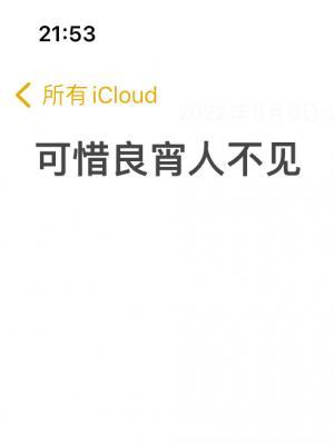 可惜良宵人不见