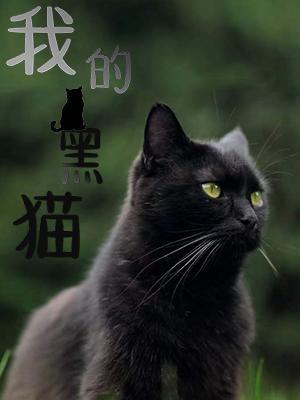 我的黑猫作品封面