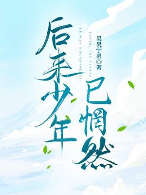 后来少年，已惘然作品封面