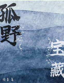 孤野宝藏
