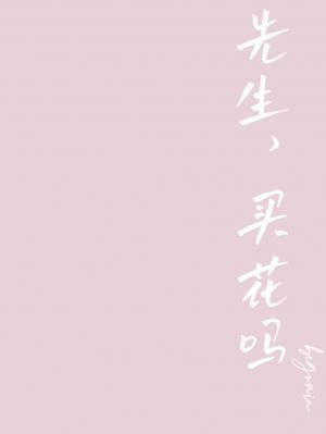 先生，买花吗作品封面