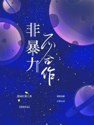 非暴力不合作作品封面