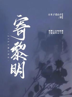 寄黎明作品封面