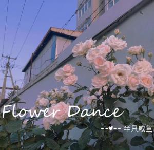 Flower dance作品封面