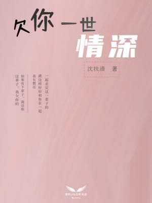 欠你一世情深作品封面