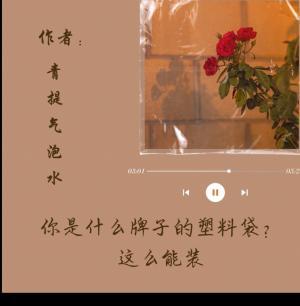 你是什么牌子的塑料袋？这么能装作品封面