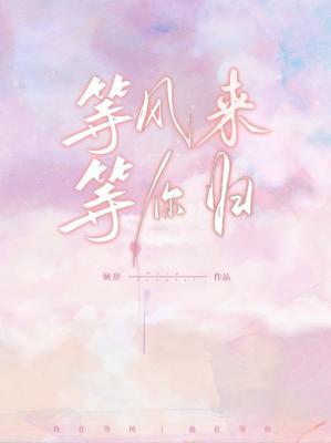 等风来，等你归作品封面