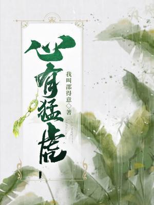 心有猛虎作品封面