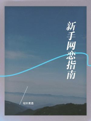 新手网恋指南作品封面