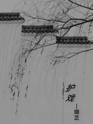 护戏