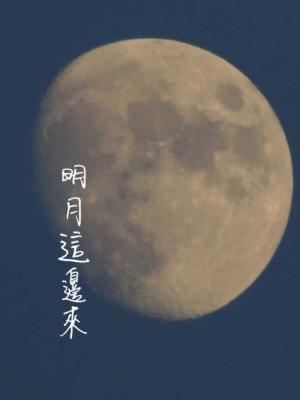 明月这边来