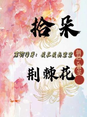 拾朵荆棘花作品封面