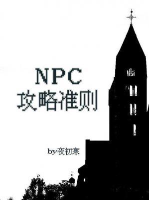 NPC攻略准则作品封面