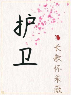 护卫