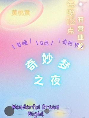 奇妙梦之夜作品封面