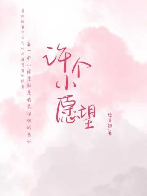 许个小愿望作品封面