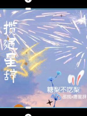 揽过星辞作品封面