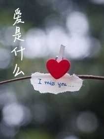 爱是什么