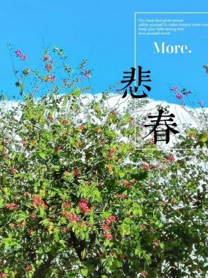 悲春