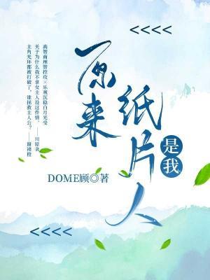 原来纸片人是我作品封面