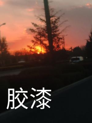 胶漆