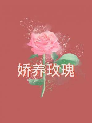 娇养玫瑰