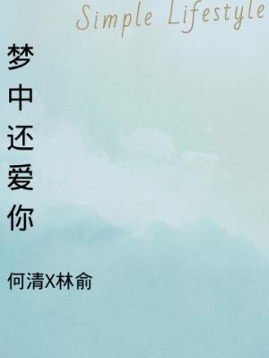 梦中还爱你作品封面