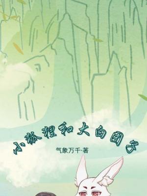 小狐狸和大白团子