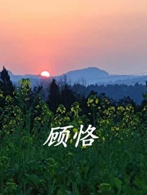 顾恪