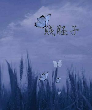 贱胚子