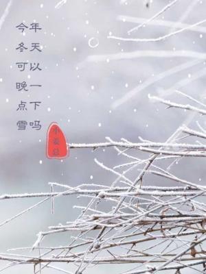 今年冬天可以晚一点下雪吗