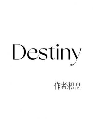 Destiny作品封面
