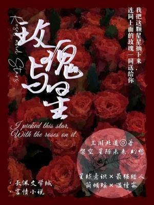 玫瑰与星