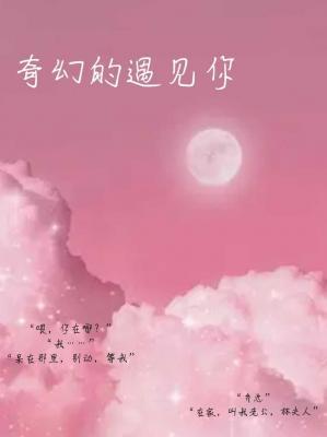 奇幻的遇见你作品封面