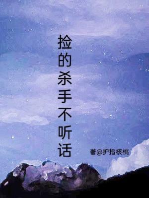 捡的杀手不听话