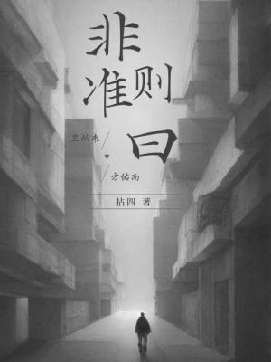 非准则曰
