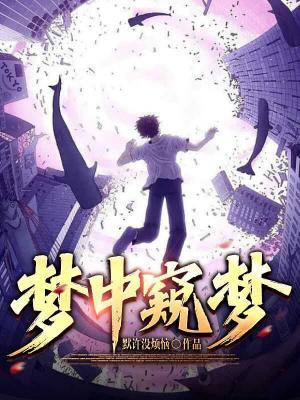 梦中窥梦作品封面