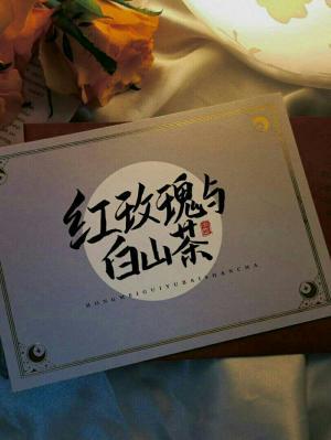红玫瑰与白山茶