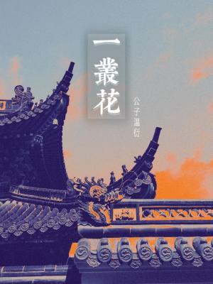 一丛花作品封面