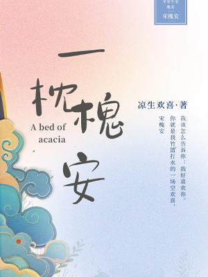 一枕槐安