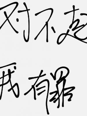 对不起，我有罪